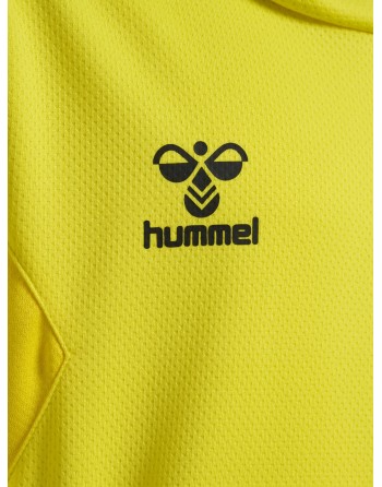 hmlAUTHENTIC PL HOODIE KIDS