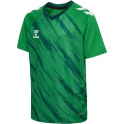hmlMATCH TRIUMPH JERSEY S/S KIDS